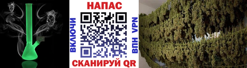 Конопля сатива  как найти закладки  МЕГА   Демидов 